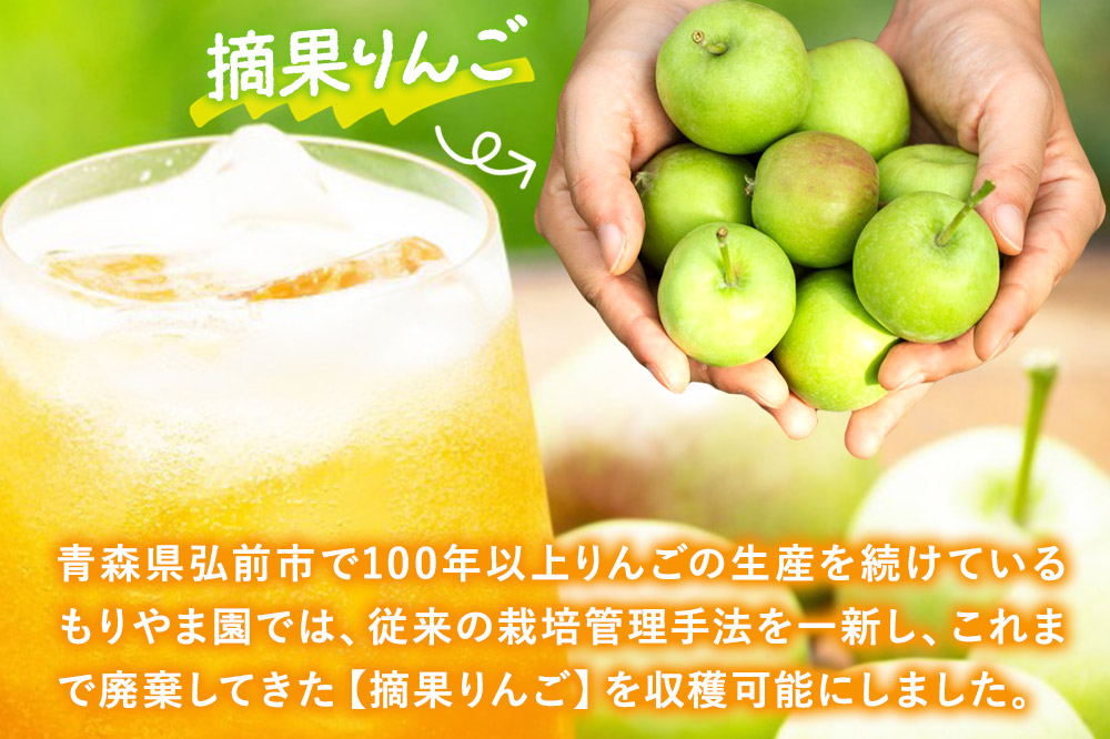 【寄附金額見直しました】摘果りんごのアップサイクルドリンク テキカカアップルソーダ 330ml×24本 もりやま園 青森 弘前 林檎 リンゴ