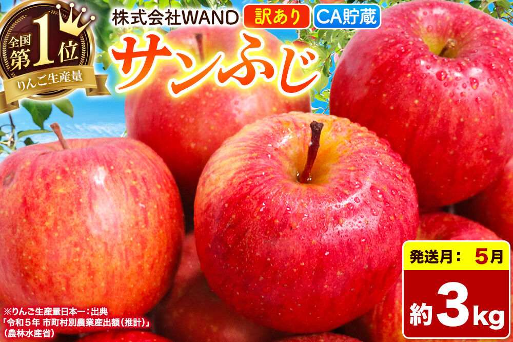 【26年5月クール便発送】 りんご サンふじ 3kg 箱 家庭用 訳あり 【CA貯蔵】 青森県産 [りんご サンふじ 家庭用 林檎 アップル 赤 果実 果物 フルーツ 美味 おいしい 青森県 弘前市 WAND]