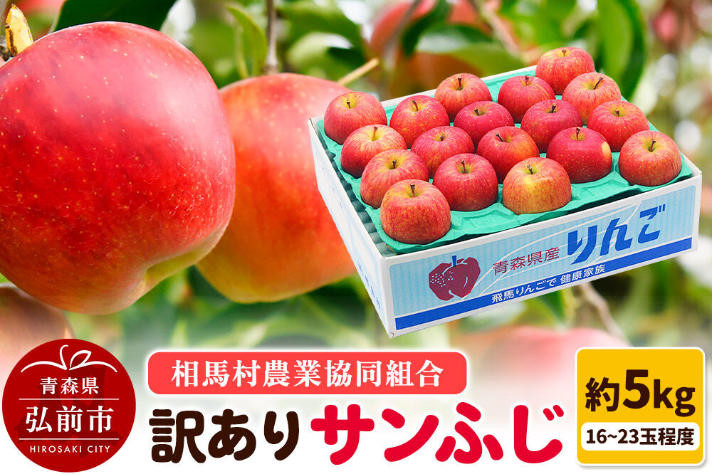 【27年2月発送】りんご【訳あり】サンふじ 約5kg（16〜23玉程度） [サンふじ りんご 訳あり アップル おいしい 果実 果物 赤色 美味 林檎]