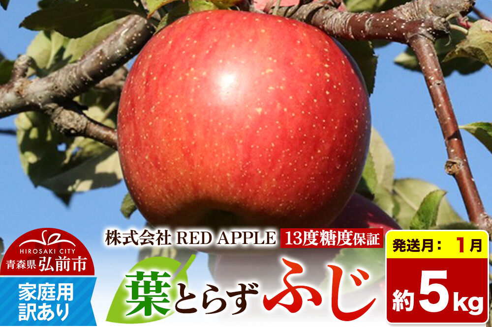 【27年1月発送】りんご 13度糖度保証【訳あり】家庭用 葉とらずふじ 約10kg 先行受付 [アップル おいしい ふじ りんご 果実 果物 赤色 糖度 美味 葉っぱ 葉とらず 林檎]