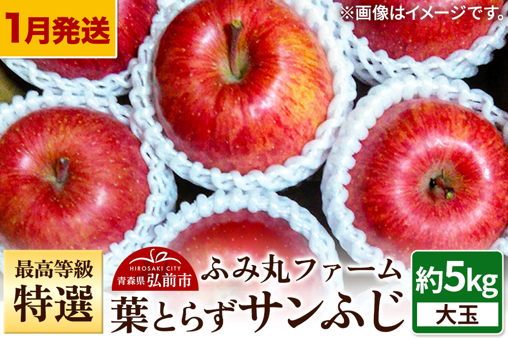 【26年1月〜発送】りんご 最高等級「特選」大玉 葉とらず サンふじ 約5kg 糖度14度以上