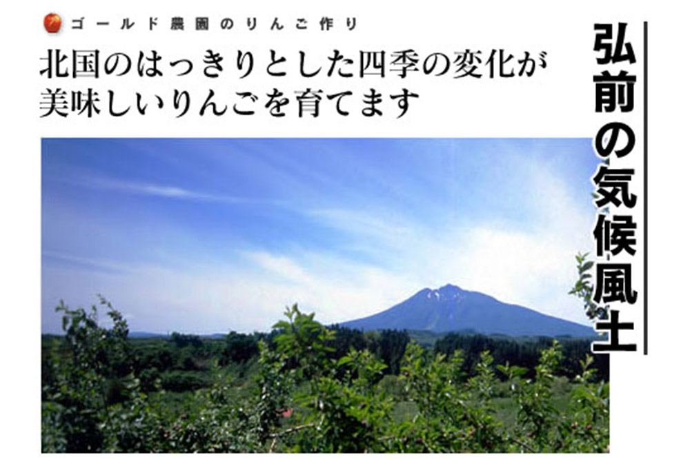 【25年12月〜発送】りんご 葉とらず ふじ【家庭用】約2kg ゴールド農園
