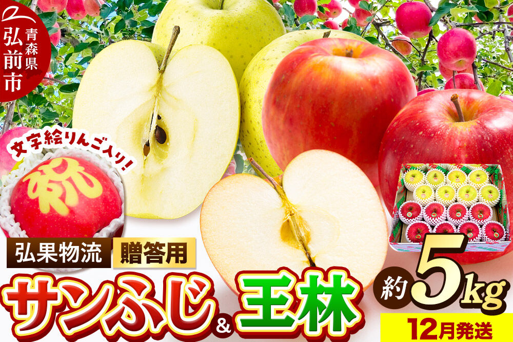 【26年12月発送】りんご 贈答用 サンふじ・王林＋文字絵入りりんご1個 約5kg [アップル おいしい お歳暮 お中元 ギフト ふじ プレゼント りんご 王林 黄色 果実 果物 赤色 贈り物 贈答用 美味 林檎]