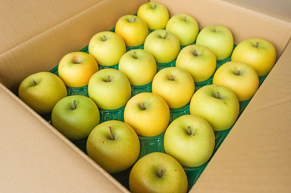 【26年3月発送】りんご 平均糖度13度以上！ シナノゴールド 約10kg おもてなし用 青森 果物 フルーツ 林檎 リンゴ くだもの