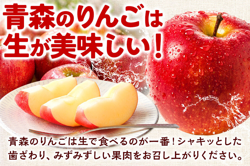 【27年2月上旬〜発送】りんご サンふじ【贈答用】約3kg 糖度13度以上 EMりんご 林檎 リンゴ 果物 くだもの フルーツ 青森県 弘前市 贈り物 ギフト [先行予約 産地直送 アップル 青森県 弘前市]