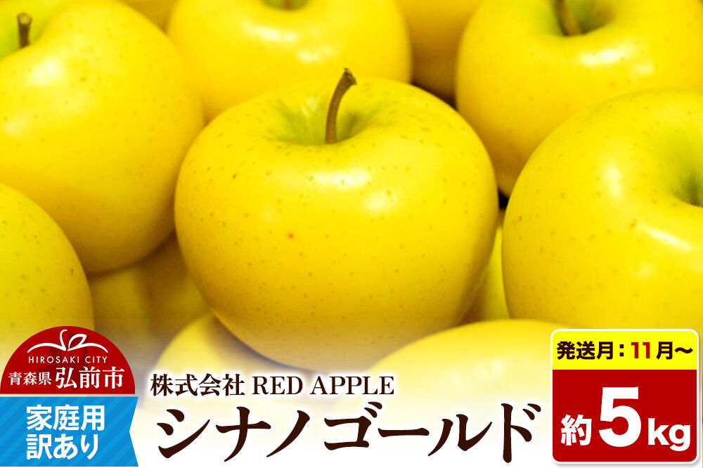 【26年11月〜発送】りんご【訳あり】家庭用 シナノゴールド 約5kg 先行受付 [アップル おいしい シナノ シナノゴールド りんご 黄色 果実 果物 美味 林檎]