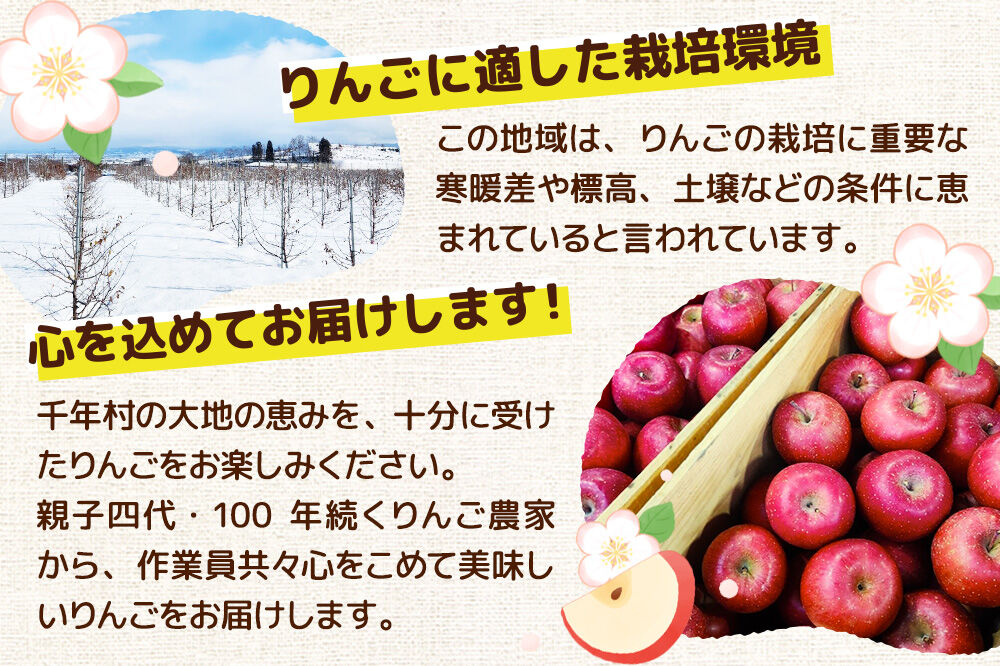 【26年10月発送】りんご 早生ふじ【訳あり】家庭用 約5kg 先行受付 [先行予約 青森産 りんご 早生ふじ アップル 林檎 リンゴ 果物 果実 美味 青森県 弘前市]