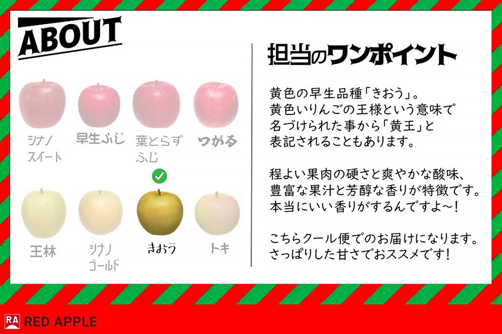 りんご【訳あり】家庭用 きおう（黄王）約10kg