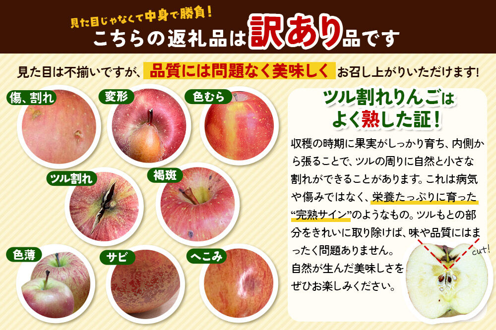【27年3月発送】りんご シナノゴールド【訳あり】家庭用 約2.5kg 先行受付 [先行予約 黄色 林檎 アップル 果実 果物 美味 おいしい 青森県 弘前市 REDAPPLE]