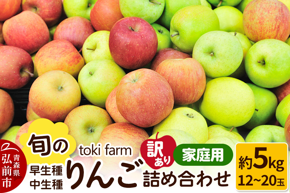 【25年10月発送】りんご【訳あり】旬のりんご 早生種・中生種詰め合わせ 約5kg（12〜20玉程度）家庭用 toki farm 林檎 アップル 果実 果物 詰め合わせ 詰合 美味 