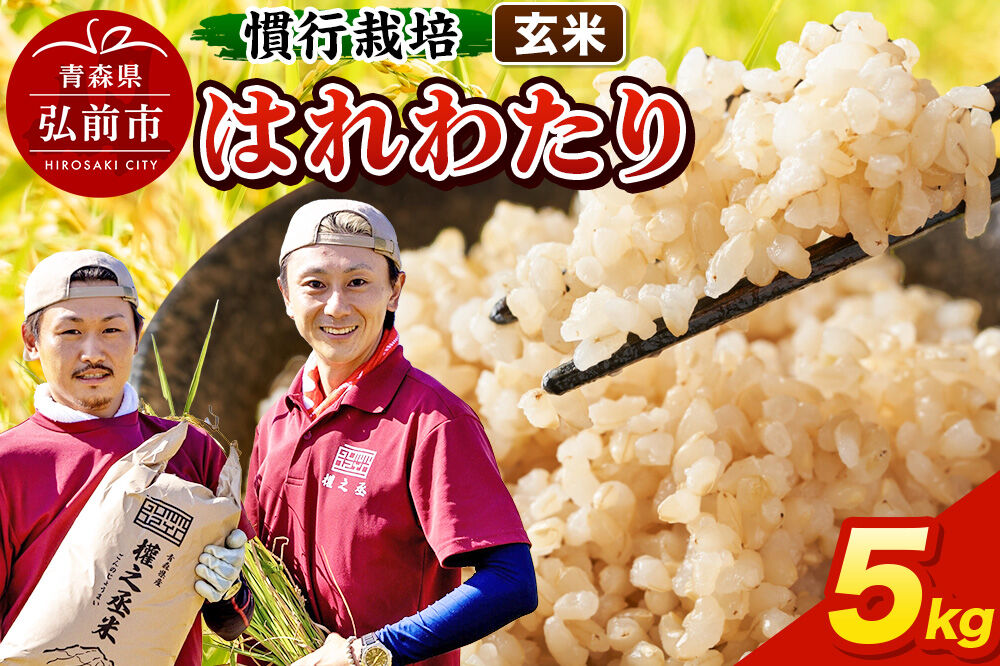 【寄附金額見直しました】米 はれわたり 5kg ［玄米］ 慣行栽培 青森県産 令和7年産 [お米 東北 玄米 青森県 弘前市 ブランド米]