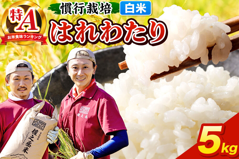 米 はれわたり 5kg［白米］特A 慣行栽培 青森県産 令和7年産 [お米 東北 精米 青森県 弘前市 白米 ブランド米]