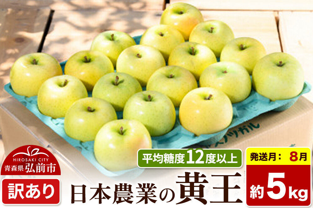 【26年8月クール便発送】りんご 黄王【訳あり】約5kg 平均糖度12度以上 青森県産 果物 フルーツ 林檎 リンゴ くだもの 不揃い 規格外 [家庭用 産地直送 アップル 青森県 弘前市]