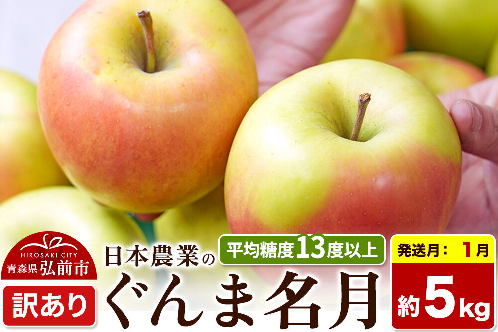 【27年1月発送】りんご ぐんま名月【訳あり】約5kg 平均糖度13度以上 青森県 弘前市 果物 フルーツ 林檎 リンゴ くだもの 不揃い 規格外 [先行受付 家庭用 産地直送 アップル 青森県 弘前市]