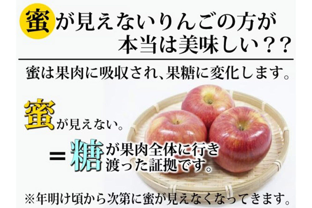 りんご ふじ 約3kg（7玉〜14玉程度）樹上完熟葉とらず【家庭用】厳選品 青森県産 りんご