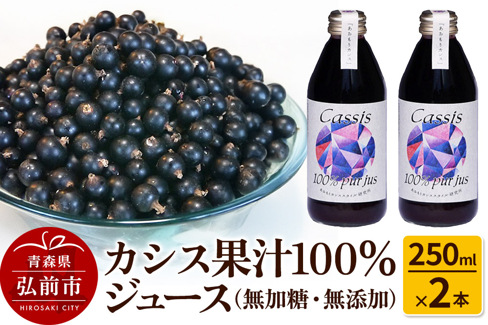 カシス果汁100％ジュース（無加糖・無添加）250ml×2本【果汁飲料】