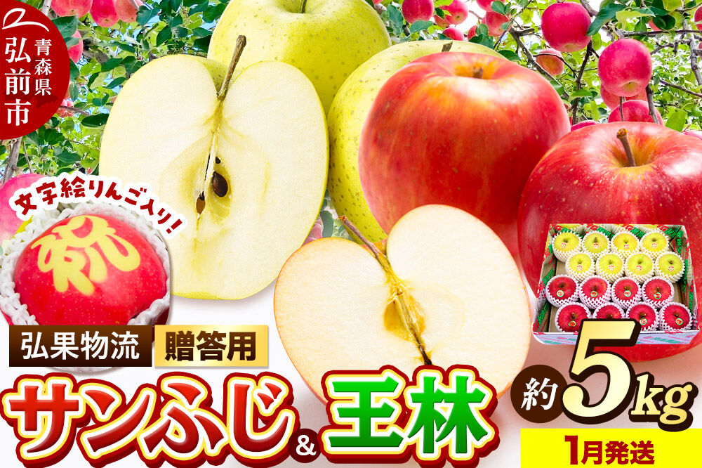 【27年1月発送】りんご 贈答用 サンふじ・王林＋文字絵入りりんご1個 約5kg [アップル おいしい お歳暮 お中元 ギフト ふじ プレゼント りんご 王林 黄色 果実 果物 赤色 贈り物 贈答用 美味 林檎]