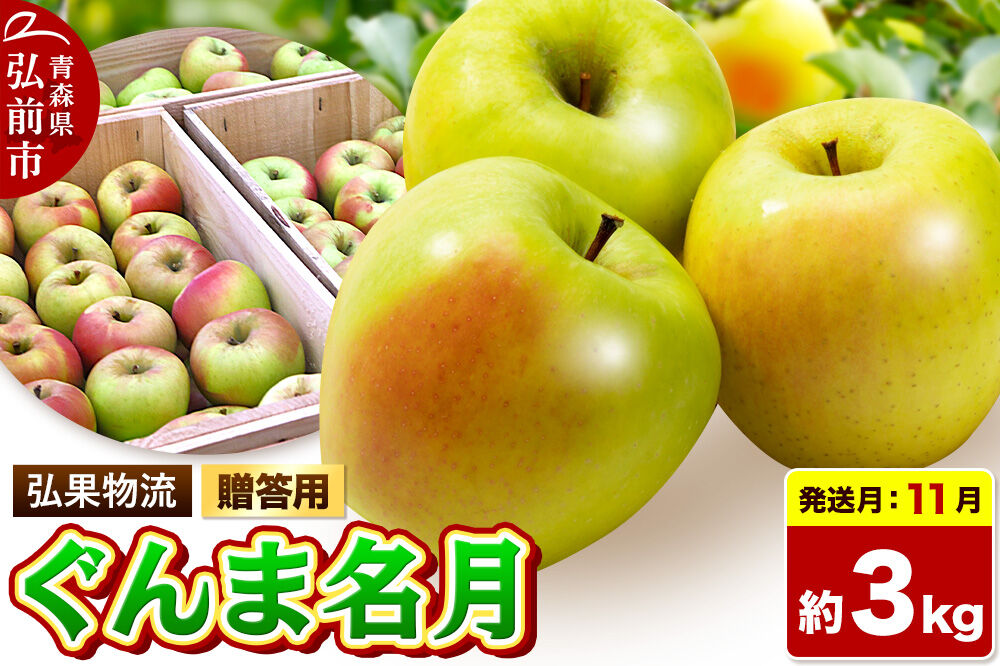 【26年11月発送】りんご ぐんま名月【贈答用】約3kg 先行受付 青森県 弘前市 果物 フルーツ 林檎 リンゴ くだもの ギフト 贈り物 [先行予約 産地直送 アップル おいしい 果実 美味 甘い 黄色]
