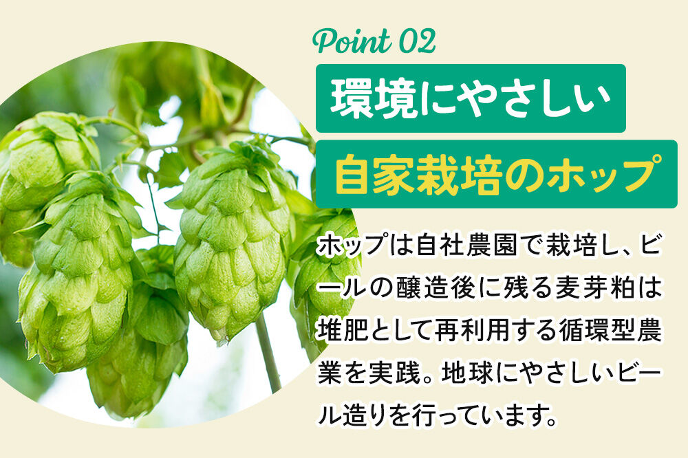 《定期便全6回 隔月お届け》ギャレスおすすめ定期便 6種セット 350ml 各1缶 Be Easy Brewing ギャレスのアジト [クラフトビール 地ビール ビール 缶 缶ビール 限定 青森県 弘前市]