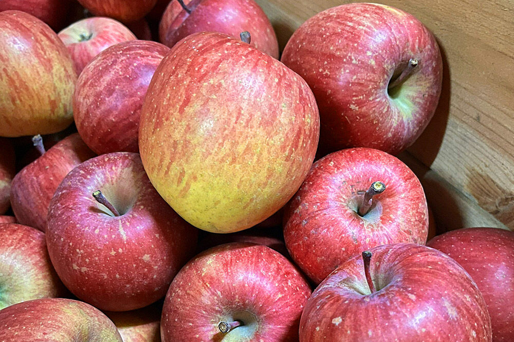 【寄附金額見直しました】【26年2月〜発送】りんご サンふじ【贈答用】約5kg 小玉 森山ファーム [サンふじ りんご 贈答 おもてなし 小玉 果物 フルーツ 林檎 リンゴ くだもの 森山ファーム 青森県 弘前市]