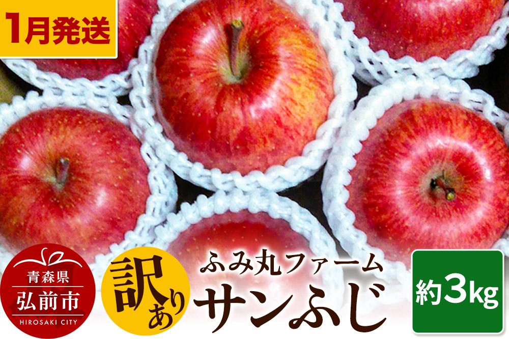 【26年1月〜発送】りんご ふみ丸ファーム【訳あり】サンふじ 約3kg