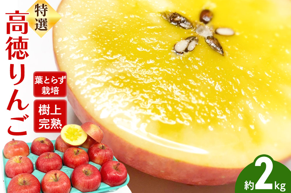 りんご 特選 高徳（ こうとく ）りんご 約2kg