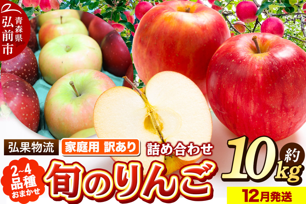 【25年12月発送】りんご 家庭用 訳あり 旬のりんご 品種おまかせ 約10kg 2品種〜4品種