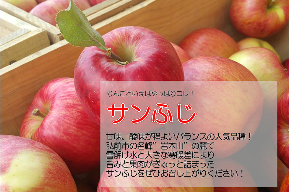 【25年11月発送・先行受付】りんご 特選 白熊 サンふじ 絆 約3kg（9〜12玉程度）糖度13度