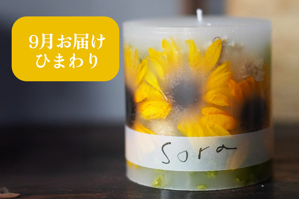 《定期便全4回》配送月固定 ボタニカル キャンドル  全4個（1個×4回お届け）【3ヶ月に1回お届け 3月 6月 9月 12月】