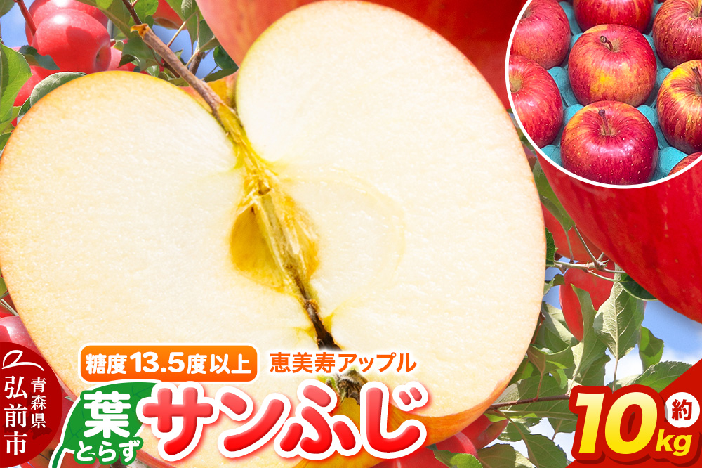 りんご 【糖度13.5度以上】サンふじ 約10kg 葉とらず 青森県 フルーツ 果物