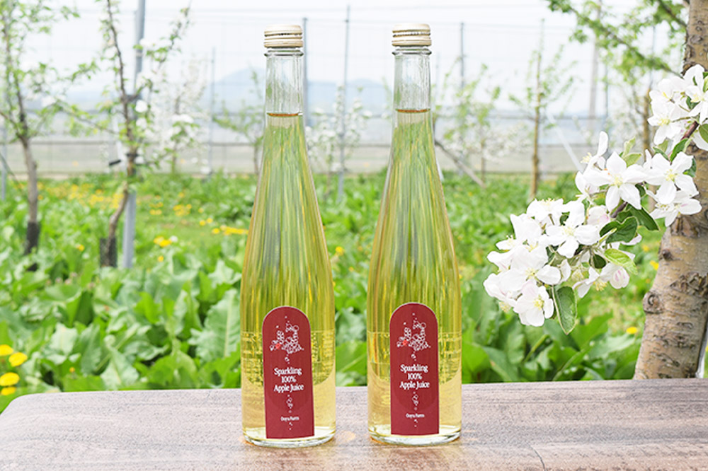 スパークリングりんごジュース 500ml×2本 ＆りんごジャム 150g×2個のギフトセット リンゴ 果汁 林檎 飲料 アップル 果物 フルーツ 青森 飲み物 ドリンク [アップル おいしい お歳暮 お中元 ギフト ジャム ジュース セット セット品 フルーツジャム プレゼント りんご 飲料 果実 果物 贈り物 贈答用 美味 林檎]