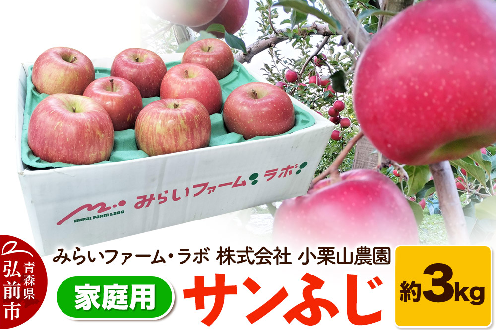 【25年12月発送】りんご【家庭用】サンふじ 約3kg