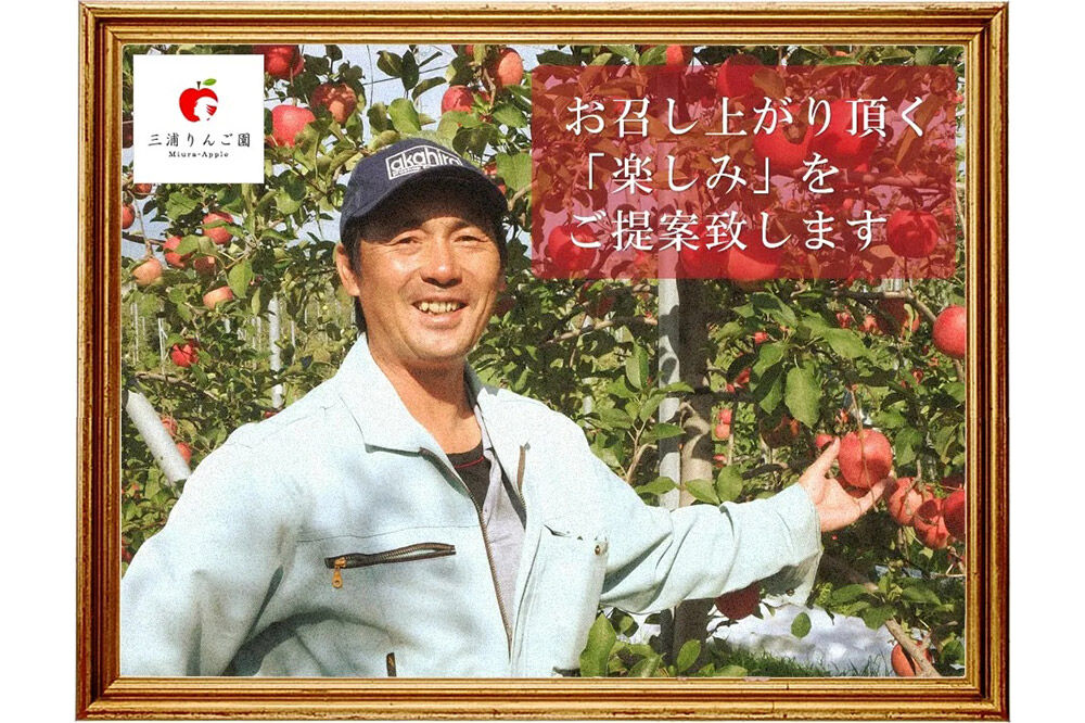 【26年11月下旬〜発送】りんご サンふじ【訳あり】約2kg 糖度13度以上（糖度証明書付）【先行受付】家庭用 青森県 弘前市 果物 フルーツ 林檎 リンゴ くだもの 不揃い 規格外 [先行予約 産地直送 家庭用 アップル おいしい 果実 美味 甘い 赤色]