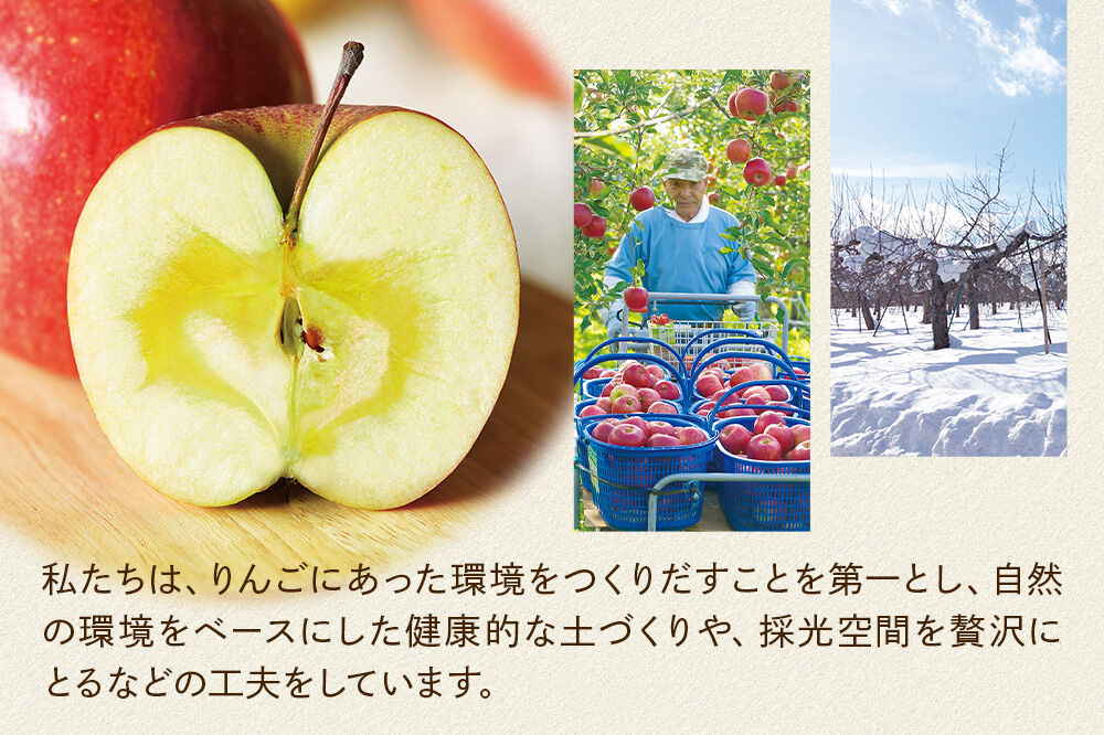 シードル タムラシードルセット TF-TSTB（BRUT・SEC 750ml×各1本 計2本） 青森県弘前市 タムラファーム [りんご リンゴ 林檎 アップル 弘前 セット ギフト 果実酒 果汁 発泡 青森 飲み比べ 完熟 さわやか 酸味 渋み やや甘口 辛口]