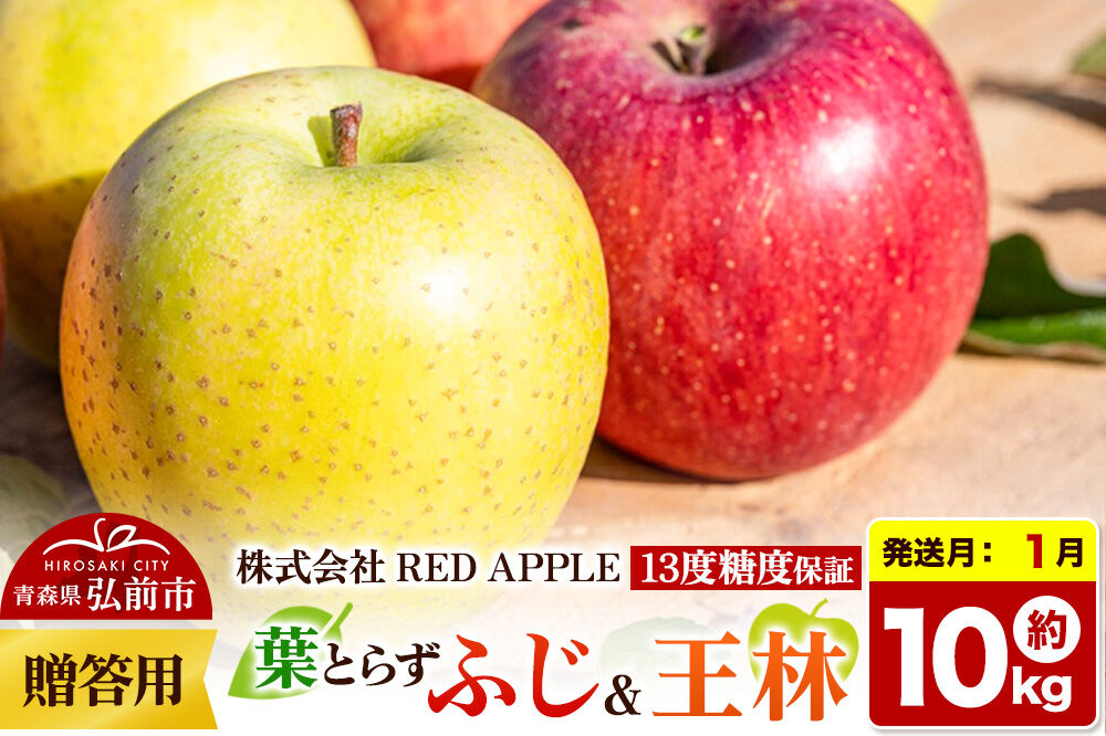 【27年1月発送】りんご 13度糖度保証【贈答用】葉とらずふじ＆王林 約10kg 先行受付 [アップル おいしい お歳暮 お中元 ギフト ふじ プレゼント りんご 王林 黄色 果実 果物 赤色 贈り物 贈答用 糖度 美味 葉っぱ 葉とらず 林檎]