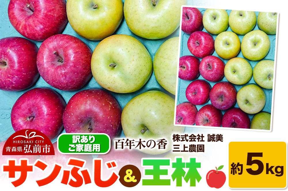 【25年12月〜発送】りんご 【訳あり】家庭用 百年木の香 三上農園 サンふじ ＆ 王林 約5kg【先行受付】 青森 果物 フルーツ 林檎 リンゴ くだもの 不揃い 規格外 予約