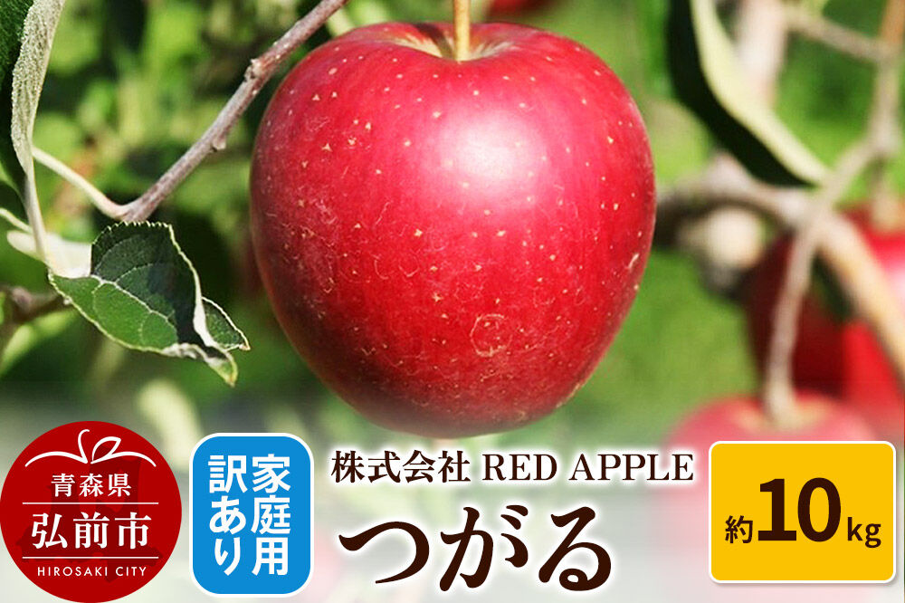 【26年9月発送】りんご【訳あり】家庭用 つがる 約10kg  [アップル おいしい りんご 果実 果物 美味 林檎]