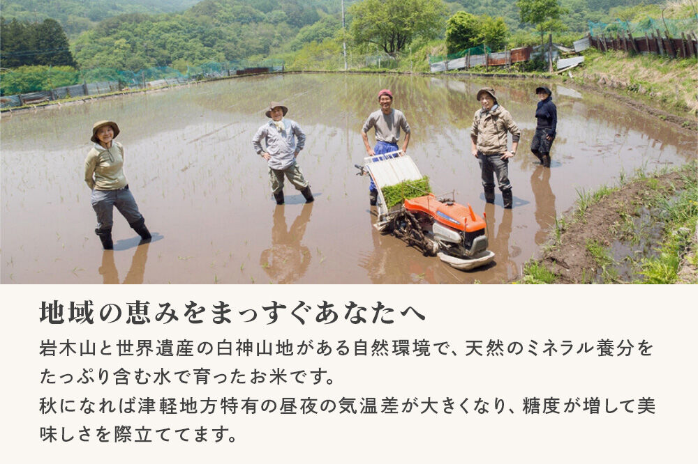 《定期便5ヶ月》 米 はれわたり【白米】5kg（5kg×1袋）令和7年産 特A 青森県産 [米 はれわたり 白米 精米 ブランド米 青森県産 東北]