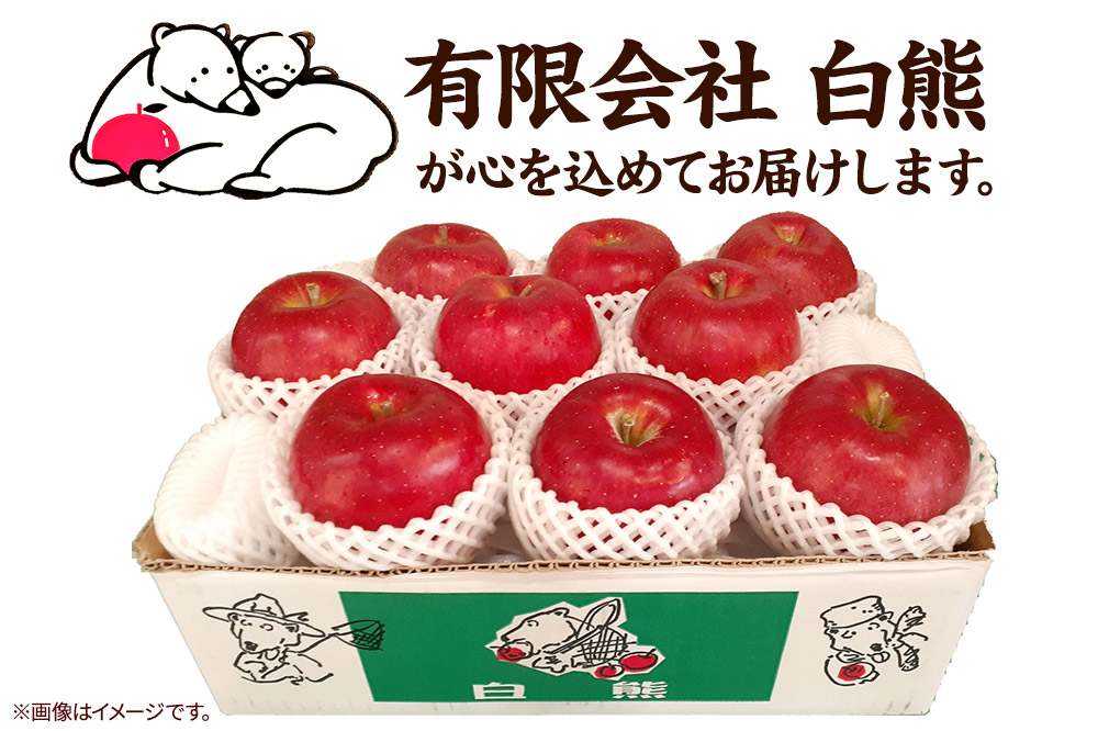 【26年4月発送・先行受付・クール便】りんご 特選 白熊 サンふじ 絆 約3kg（9〜12玉程度）糖度13度 CA貯蔵