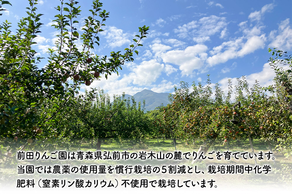 【25年10月〜発送】りんご 【家庭用】 はつ恋ぐりん 約 5kg  前田りんご園