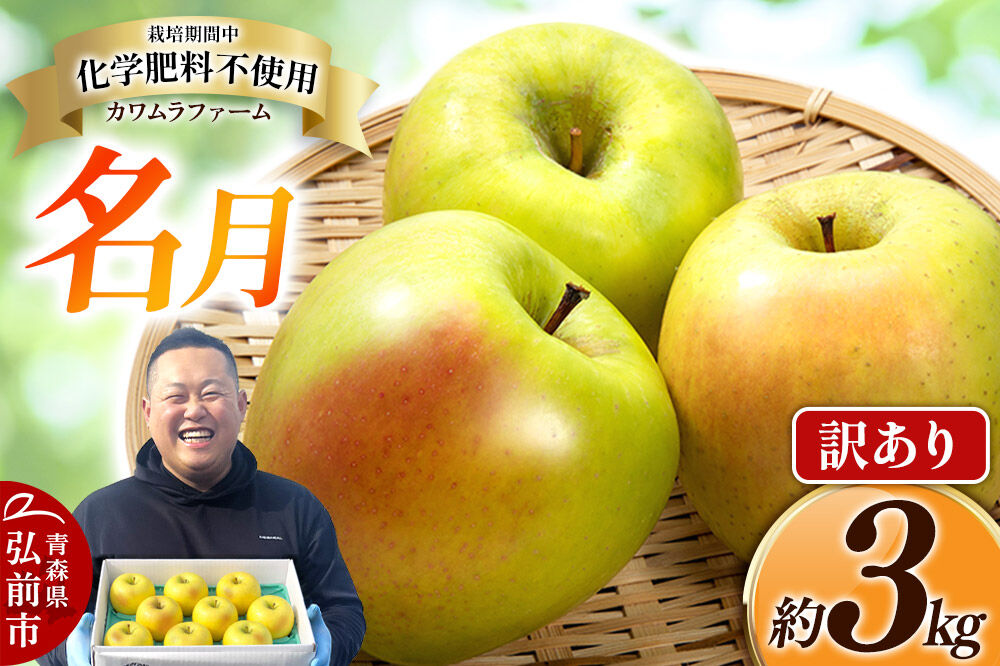 【26年10月下旬〜発送】りんご 名月【訳あり】約3kg カワムラファーム 青森県 弘前市 果物 フルーツ 林檎 リンゴ くだもの 不揃い 規格外 [産地直送 アップル おいしい 果実 美味 甘い 黄色]