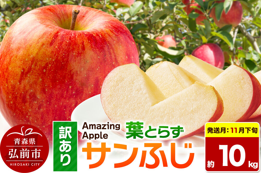 【26年11月下旬発送】りんご 葉とらずサンふじ【訳あり】家庭用 約10kg 先行受付 [先行予約 りんご サンふじ 葉とらず ふじ 訳あり 家庭用 10kg アップル おいしい 果実 果物 取ら 赤色 美味 葉っぱ 林檎 青森県 弘前市]