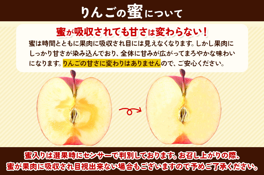 【25年12月発送】りんご 13度糖度保証【贈答用】蜜入り 葉とらずふじ＆王林 約5kg