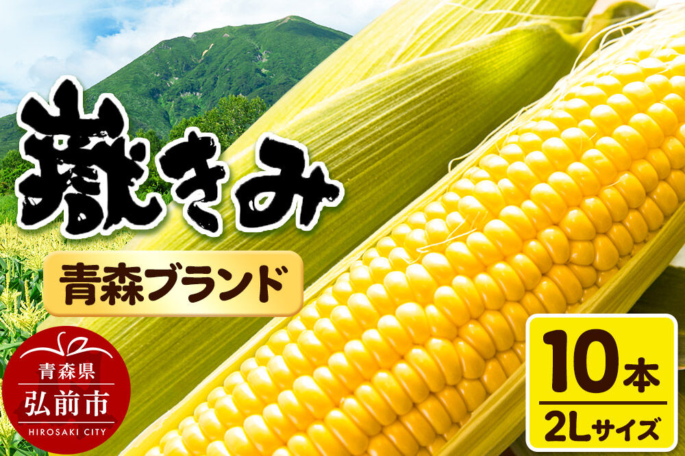 【26年8月中旬〜クール便発送】とうもろこし【先行受付】嶽きみ（だけきみ）2Lサイズ 10本 青森県弘前市産 岩木山麓嶽高原産 [先行予約 おいしい コーン だけきみ とうもろこし ひろさき ブランド もろこし 弘前 青森 美味 野菜 嶽きみ]