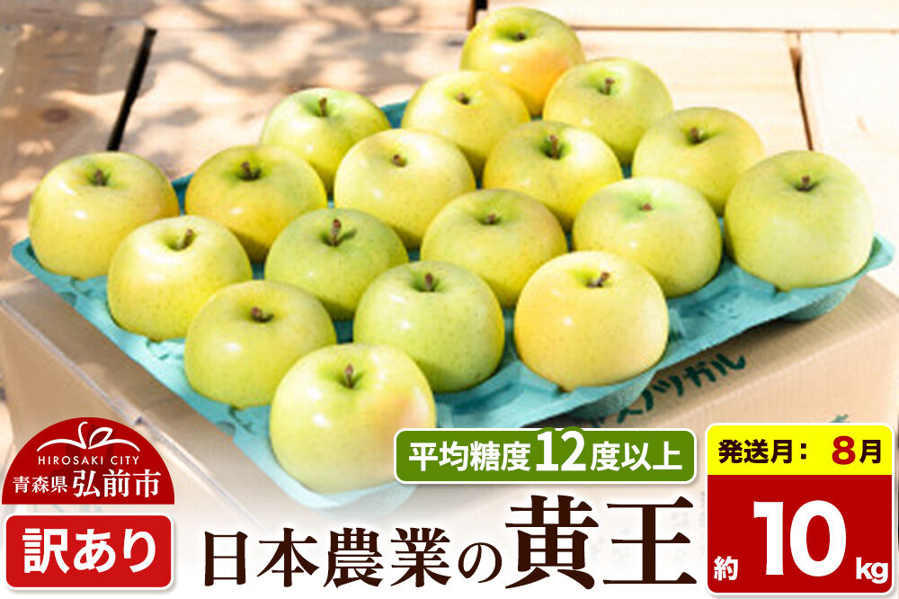 【26年8月クール便発送】りんご 黄王【訳あり】約10kg 平均糖度12度以上 青森県産 果物 フルーツ 林檎 リンゴ くだもの 不揃い 規格外 [家庭用 産地直送 アップル 青森県 弘前市]
