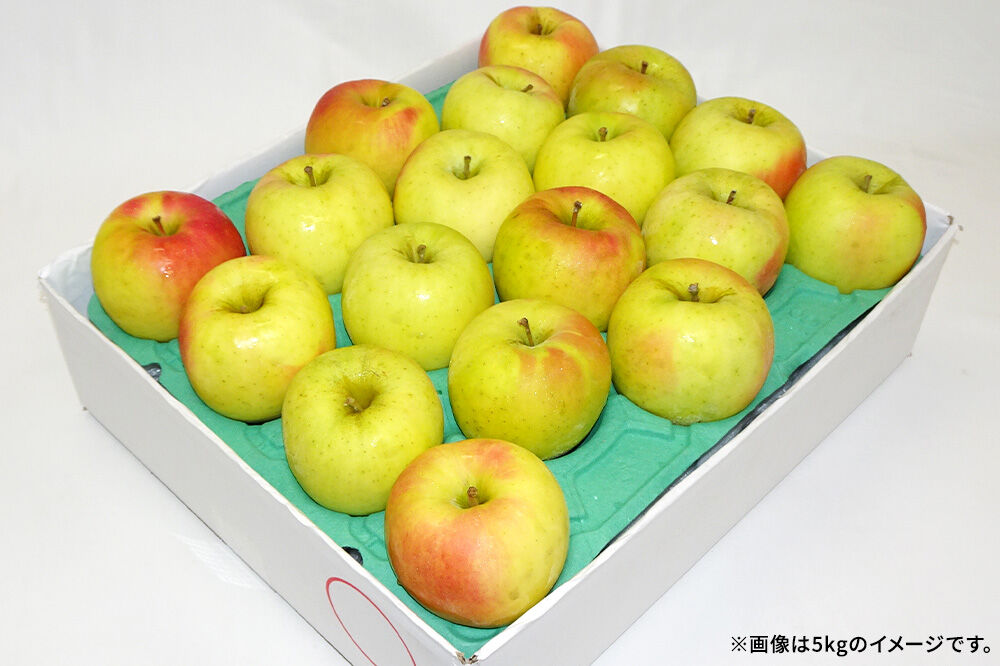 【26年12月発送】りんご 名月【訳あり】約5kg キタエアップル 青森県 弘前市 [先行予約 名月 りんご 訳あり 家庭用 アップル おいしい 果実 果物 黄色 美味 林檎]