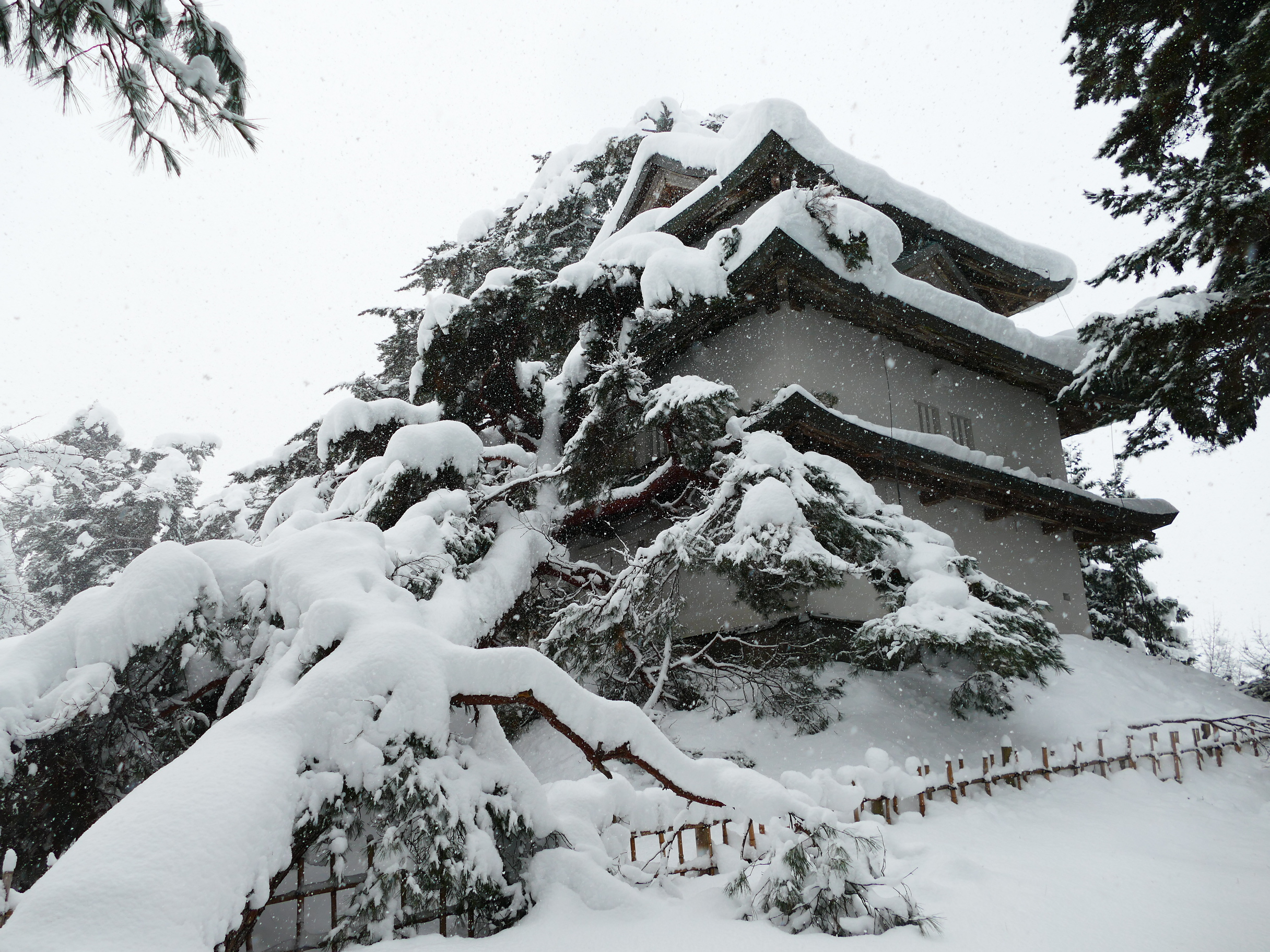 令和７年豪雪災害