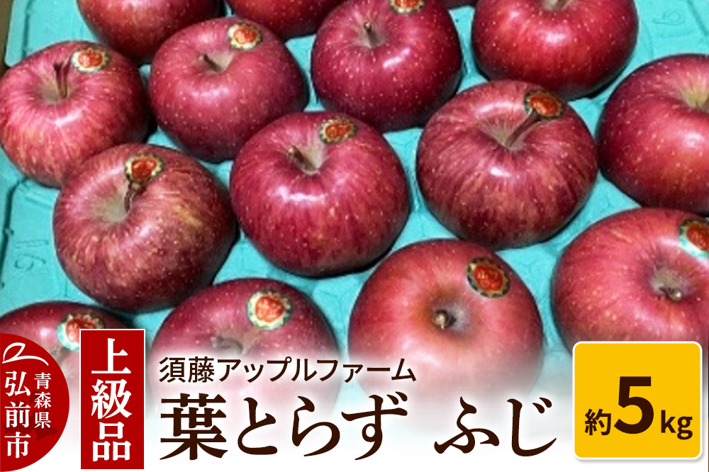 【25年12月発送】りんご 上級品 葉とらず ふじ 約5kg