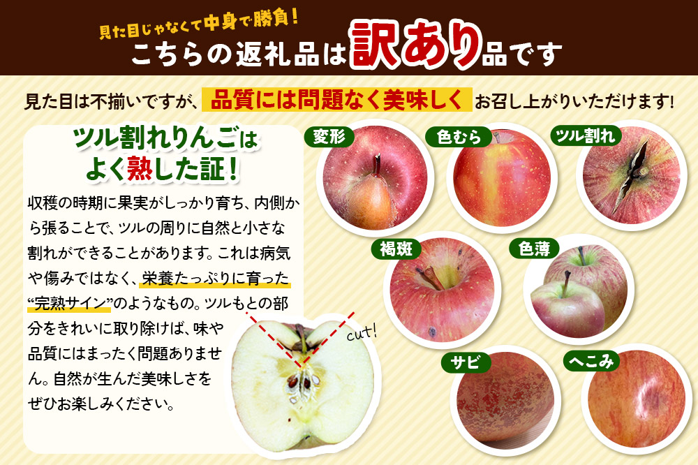 【25年12月〜発送】りんご 【訳あり】家庭用 百年木の香 三上農園 サンふじ 約3kg【先行受付】 青森 果物 フルーツ 林檎 リンゴ くだもの 不揃い 規格外 予約