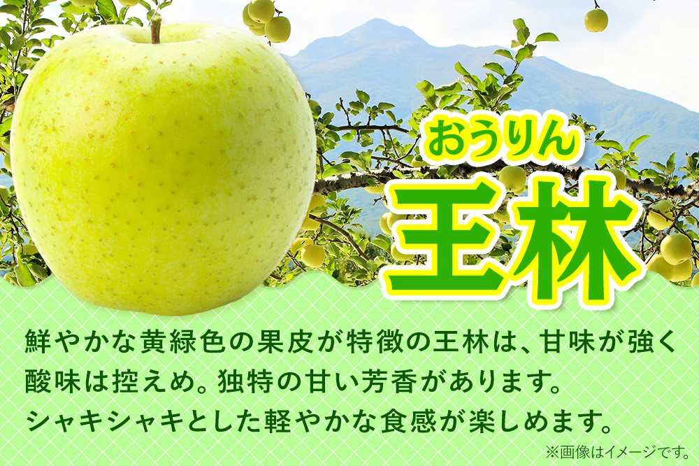 【寄附金額見直しました】【26年3月発送】りんご 贈答用 サンふじ・王林 詰め合わせ 約10kg 林檎 リンゴ 果物 くだもの フルーツ 青森